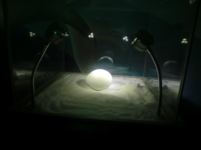 ���ں�������