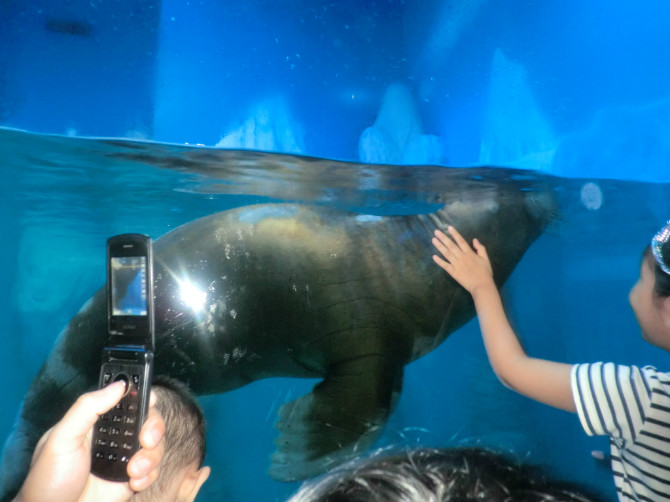 ���ں�������