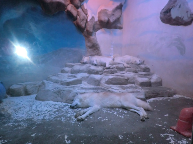 ���ں�������