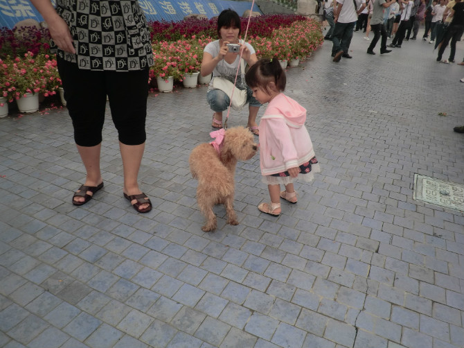 ���ں�������