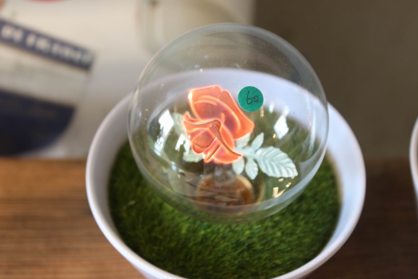 ������С IMG_0877.JPG