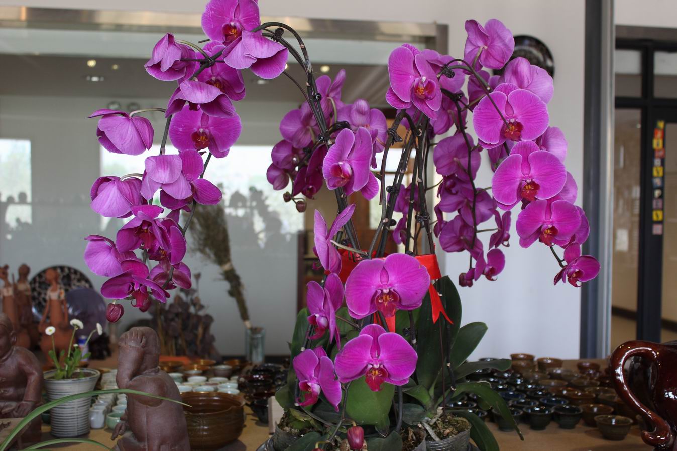 ������С IMG_0901.JPG