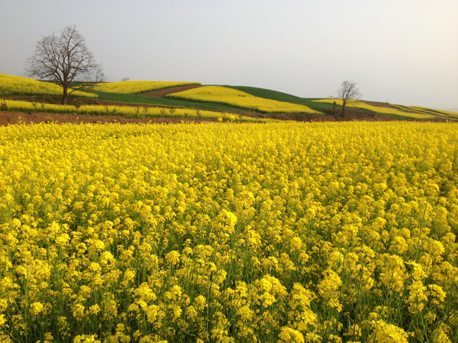 ��ɽ��20130330