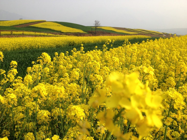 ��ɽ��20130330