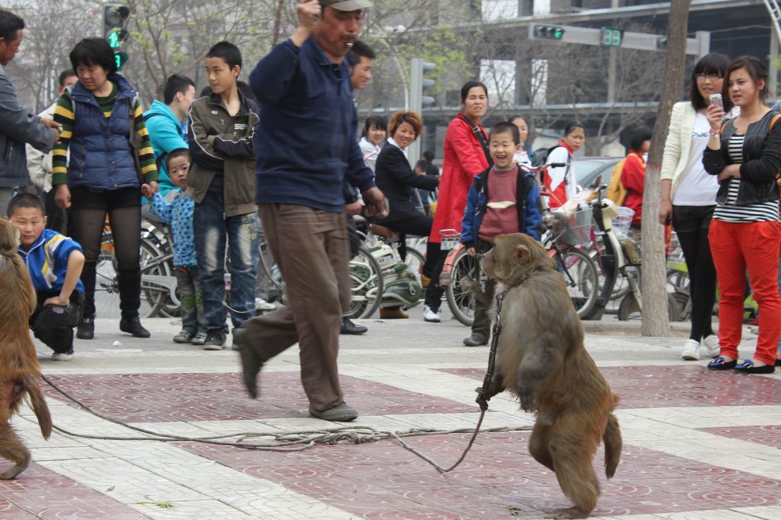 ������С IMG_1005.JPG