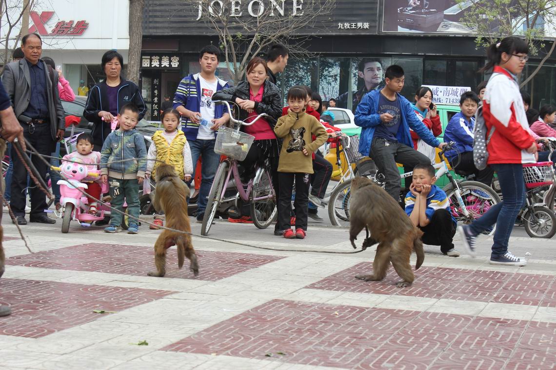 ������С IMG_1007.JPG