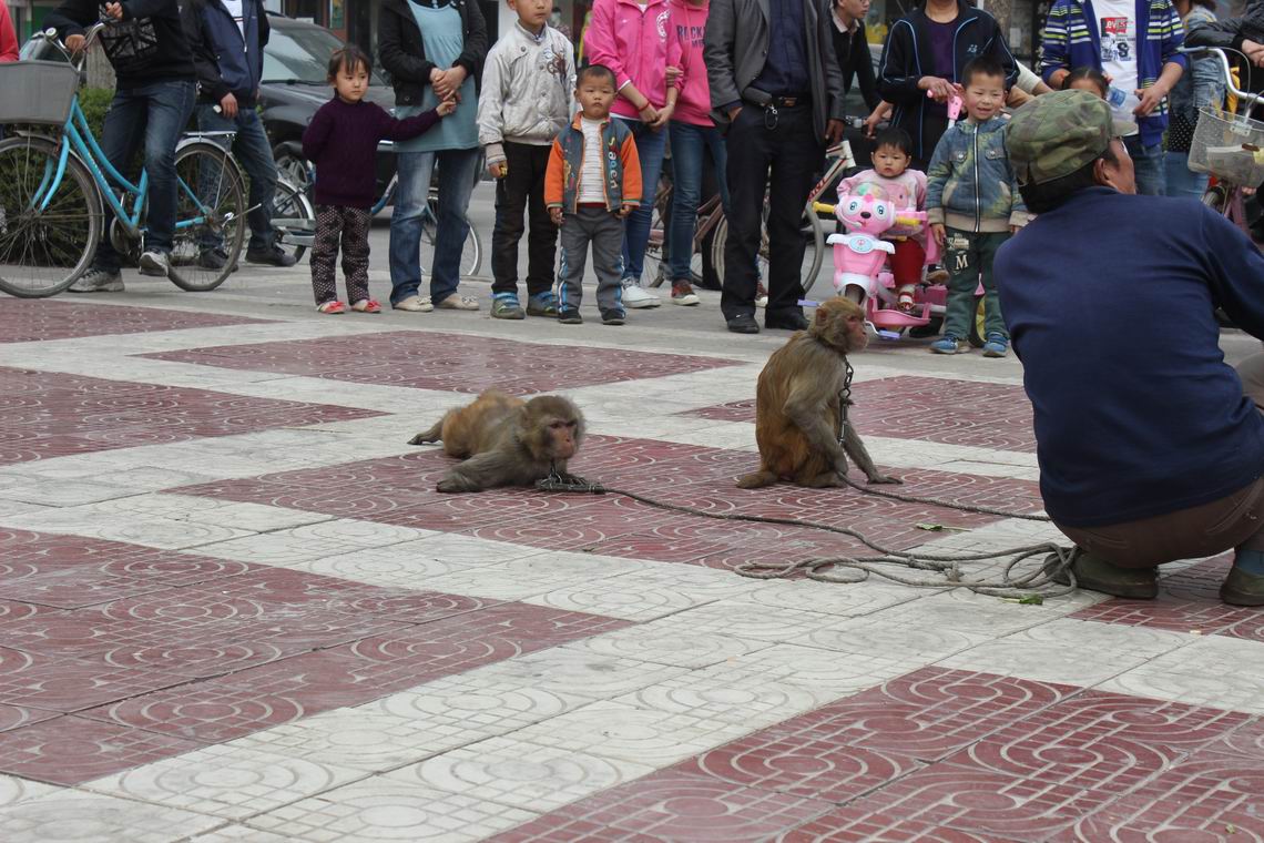 ������С IMG_1008.JPG