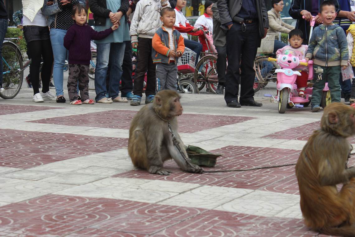 ������С IMG_1011.JPG