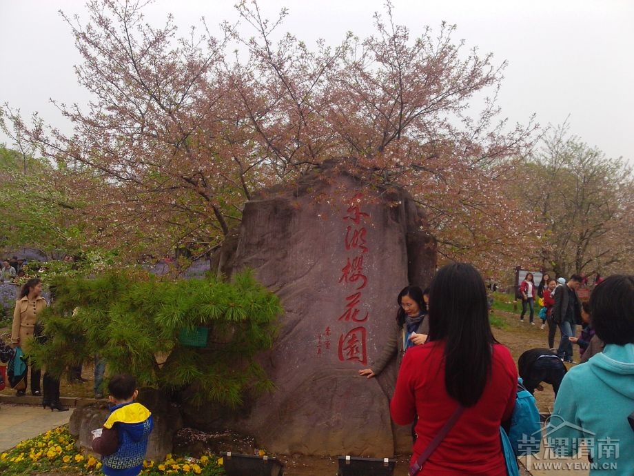 ����ӣ��԰