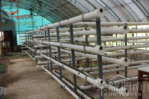 ���Ҵ����ݮ