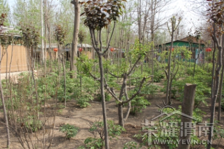 ����Ҫ����ĵ��