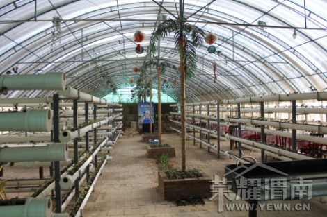 ���Ҵ����ݮ