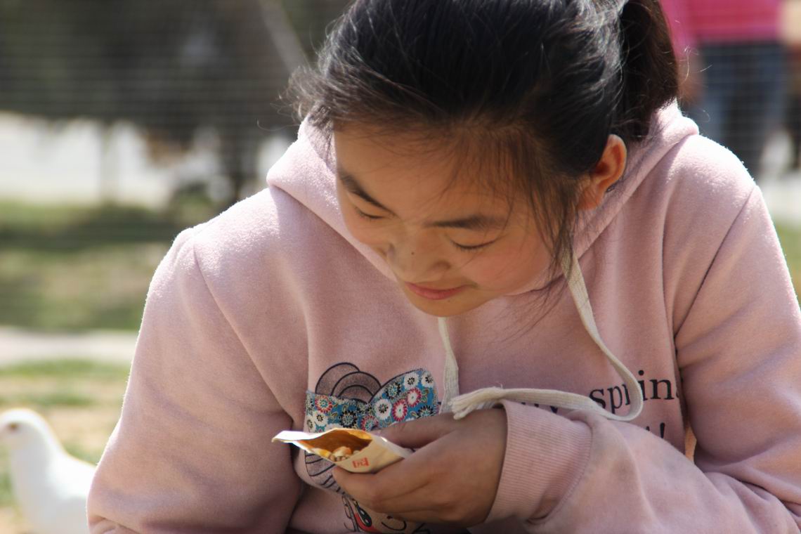 ������С IMG_1180.JPG