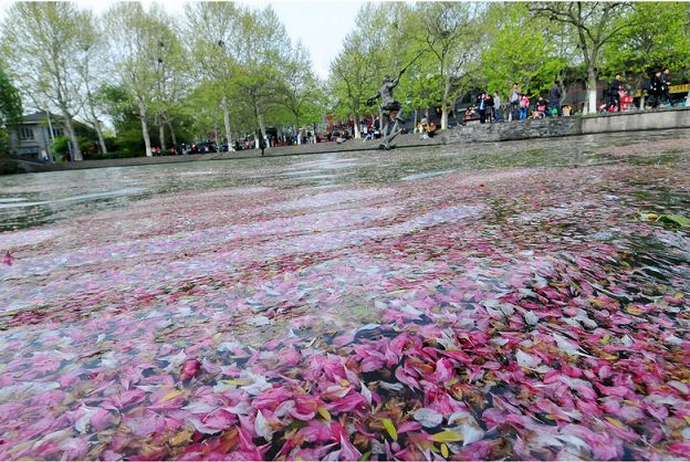 ��������