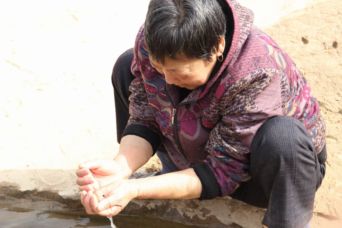 ������С IMG_1350.JPG