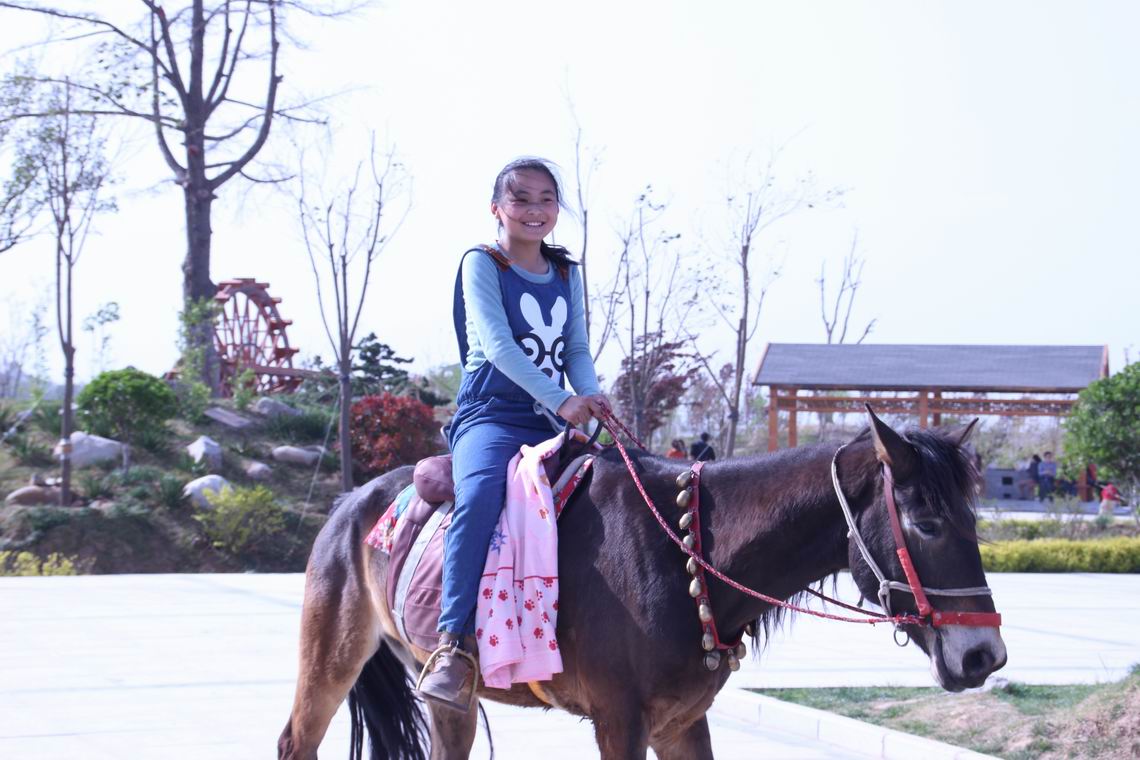 ������С IMG_1663.JPG