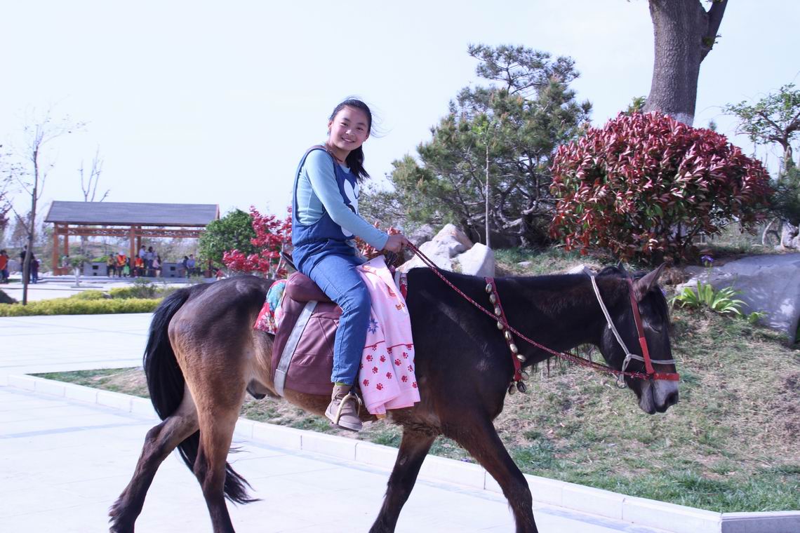 ������С IMG_1664.JPG