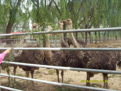 ԰�������