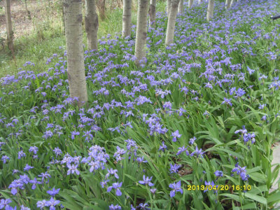 ·�ߵ�����