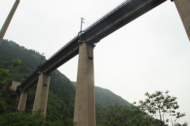 ������С IMG_2493.JPG