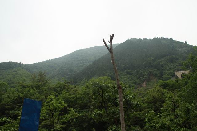 ������С IMG_2494.JPG