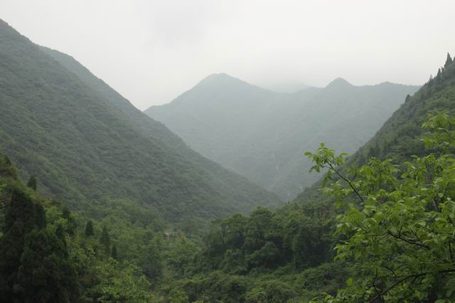 ������С IMG_2496.JPG