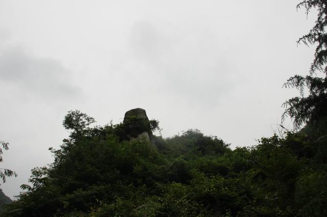 ������С IMG_2508.JPG