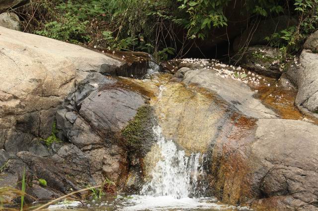 ������С IMG_2514.JPG