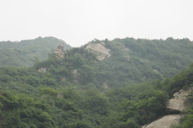 ������С IMG_2518.JPG