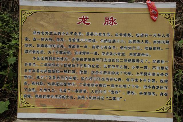 ������С IMG_2519.JPG