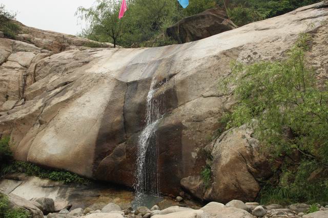 ������С IMG_2520.JPG