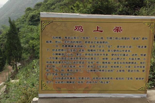 ������С IMG_2535.JPG