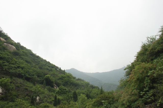 ������С IMG_2544.JPG