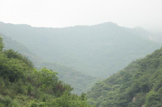 ������С IMG_2545.JPG