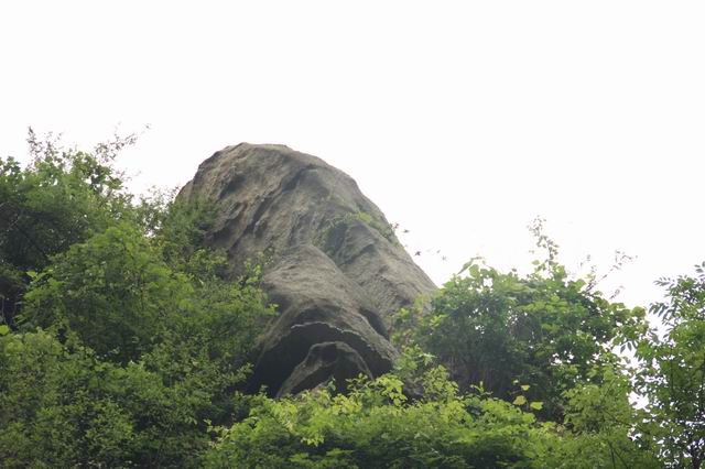 ������С IMG_2561.JPG