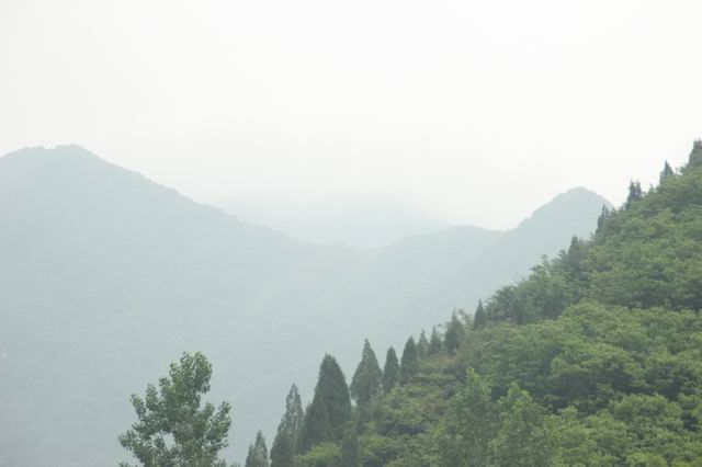 ������С IMG_2563.JPG