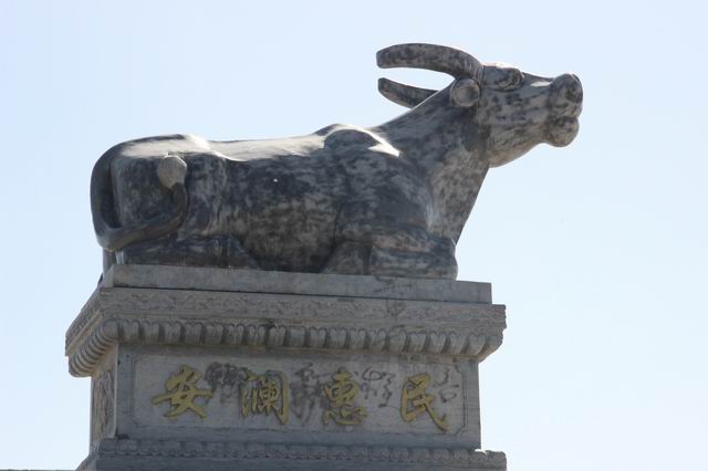 ������С IMG_2606.JPG