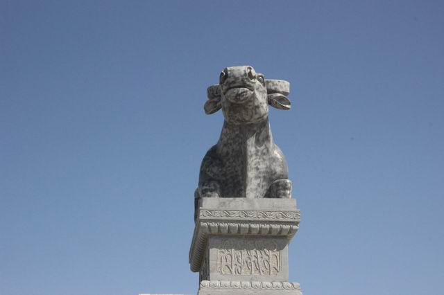 ������С IMG_2577.JPG