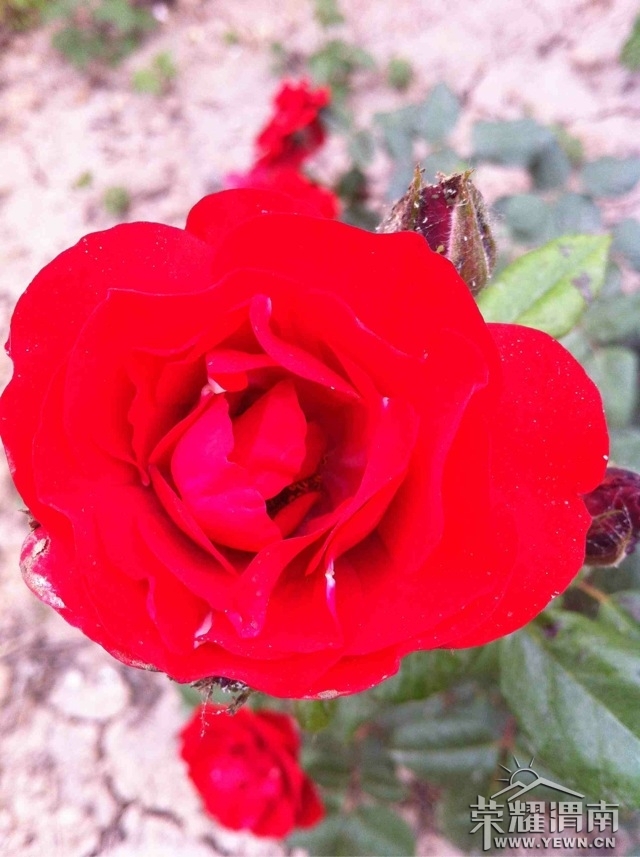088780.jpg