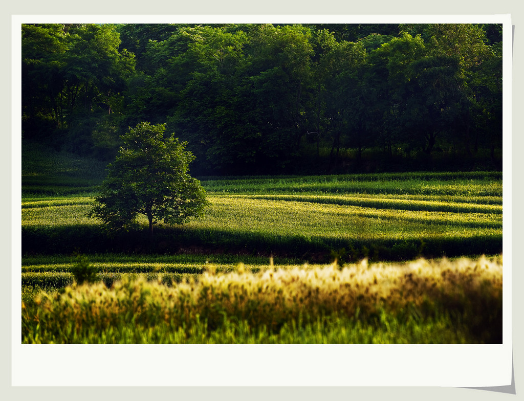 �˼�����