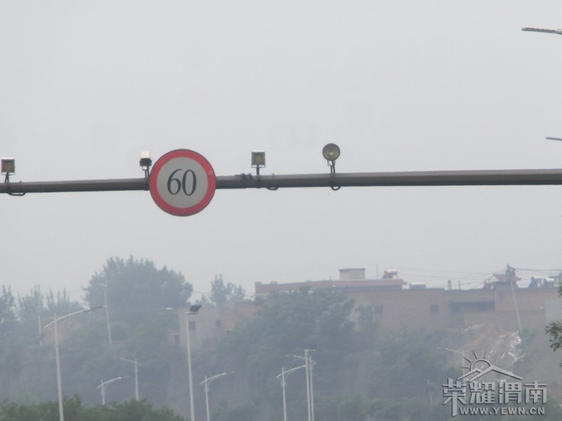 �������ſ�