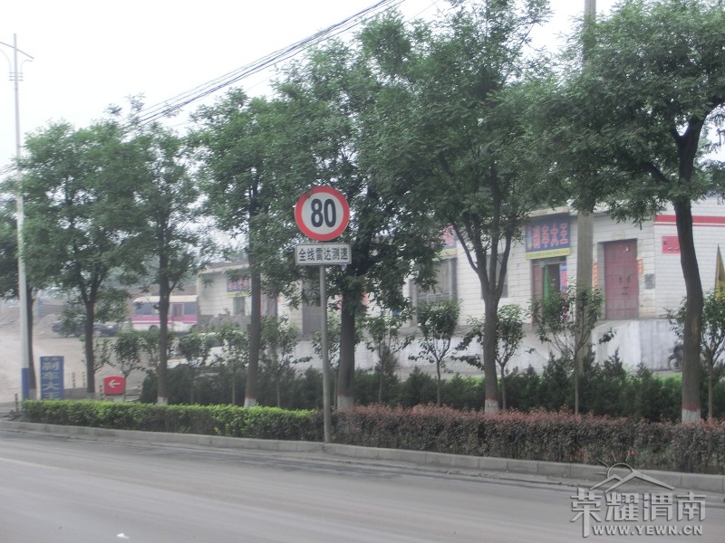 �������ſ�