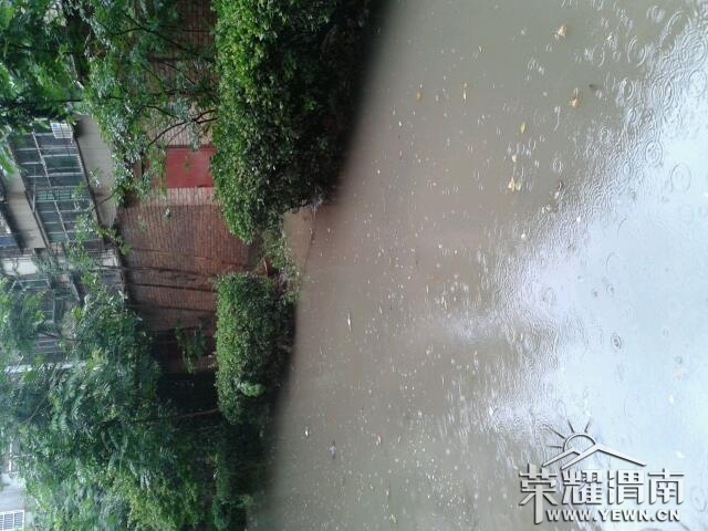 2013-05-28 10.48.14.jpg