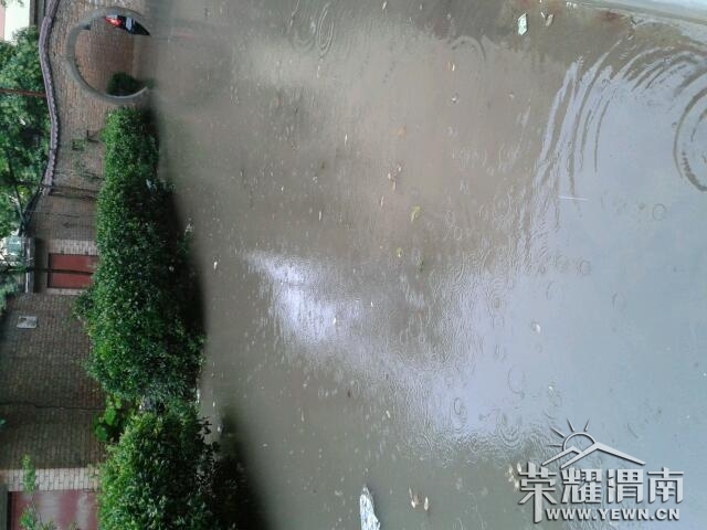 2013-05-28 10.48.08.jpg