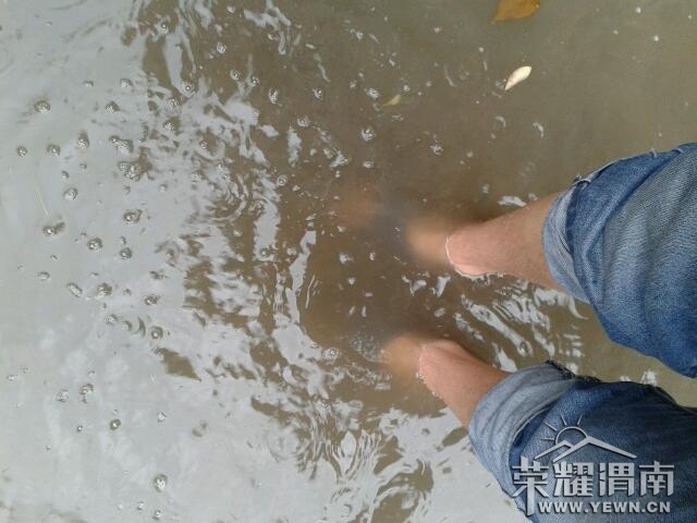 2013-05-28 10.48.46.jpg