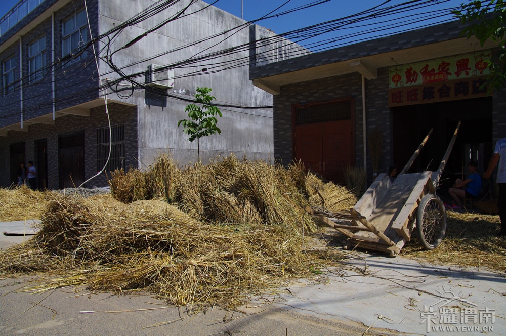 μ�Ϻ�����-��·��ɹ��ʱ��