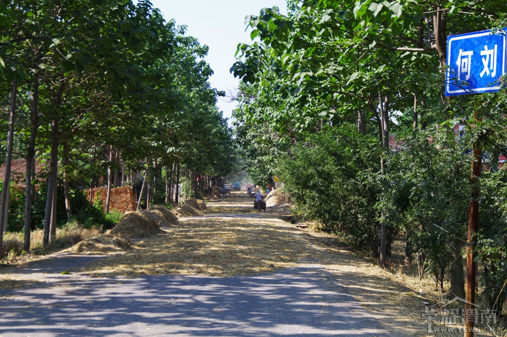 μ�Ϻ�����-��·��ɹ��ʱ��