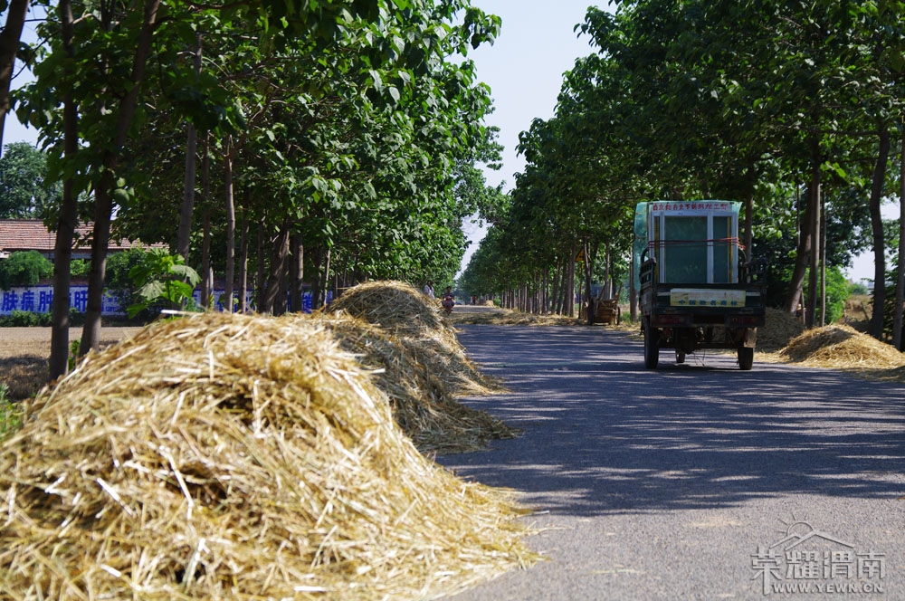 μ�Ϻ�����-��·��ɹ��ʱ��