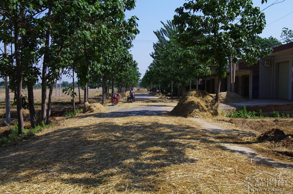 μ�Ϻ�����-��·��ɹ��ʱ��