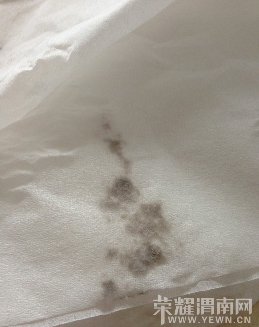 ����ֽ��